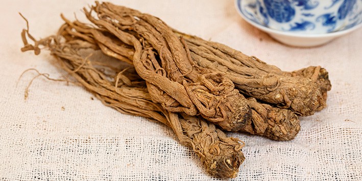 Dong quai nome popular